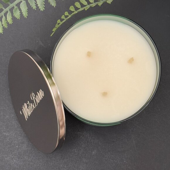 BBW Island Margarita  White Barn Bath & Body Works 3 Wick Candle - Picture 6 of 10